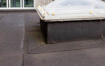 disadvantages of Newton Park flat roofs
