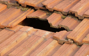 roof repair Newton Park